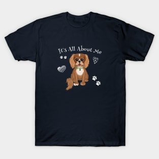 It's All About My Ruby Cavalier King Charles Spaniel T-Shirt